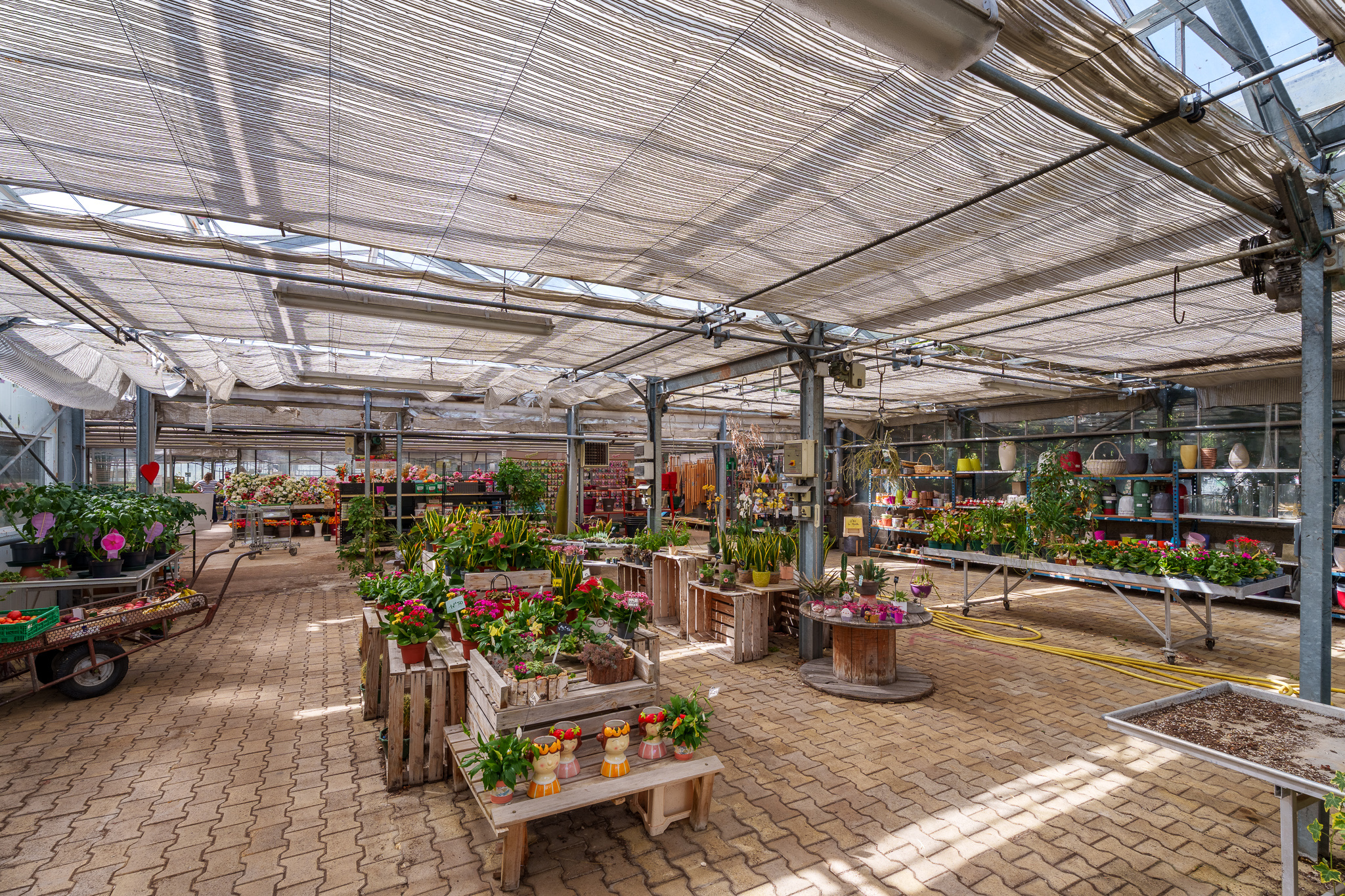 Immeuble à vendre à Montchanin : rayonnages de plantes et pots sur un sol pavé