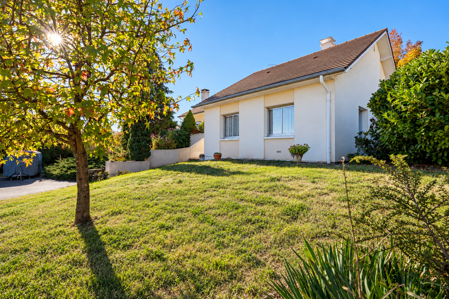 Maison à vendre à Le breuil : maison de plain-pied avec jardin et un arbre au premier plan
